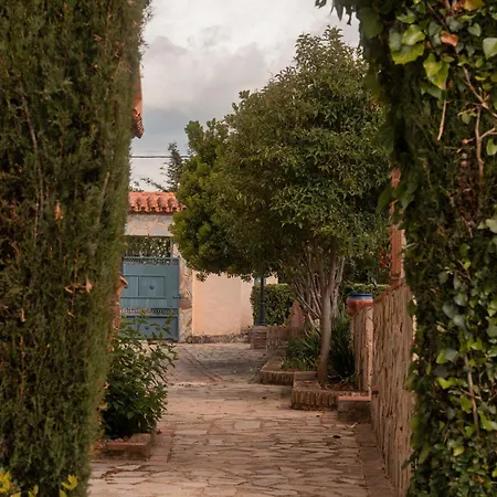 Ov Ronda
